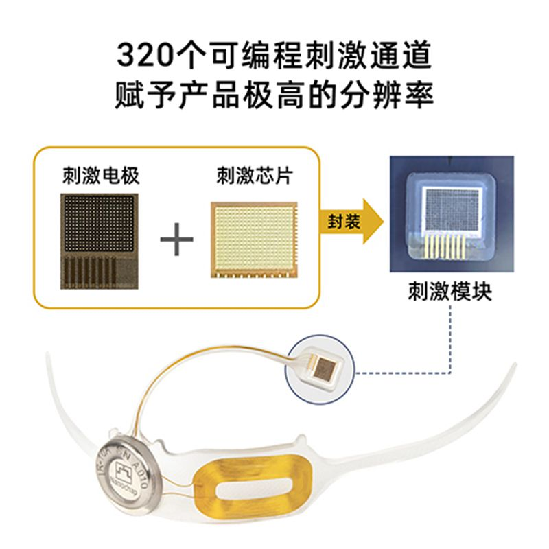暖芯迦高分辨率人工视网膜·食蟹猴抓取任务探究取得阶段性成果