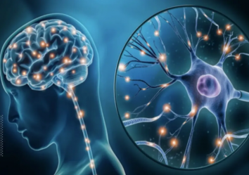 科技赋能健康：探索暖芯迦 ENS001 芯片在电刺激领域的无限可能