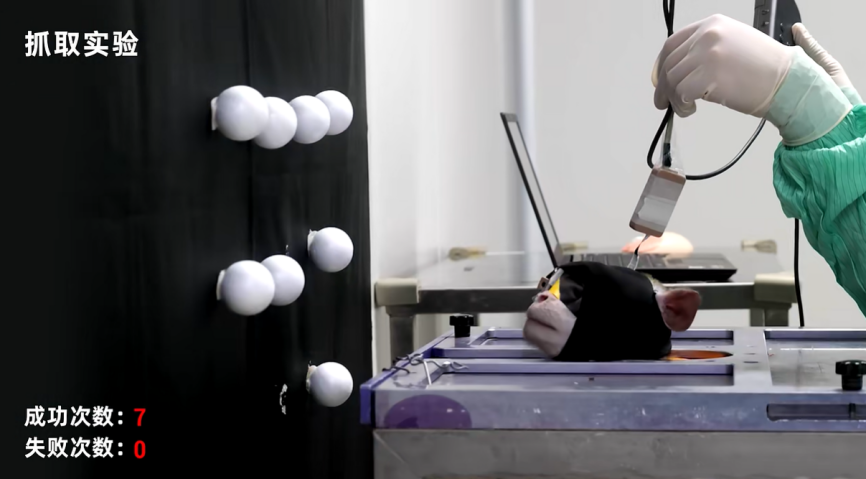 Nanochap_BCI｜国家级专精特新小巨人企业暖芯迦发布第二代1280通道视皮层视觉脑机接口